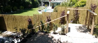 Bamboo and wood fencing