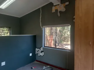 Painter Available (weekends)