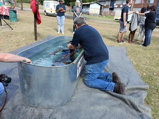 Baptismal Bath tub