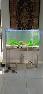 AQUARIUM PH4H MOVERS SA☆☆☆☆☆