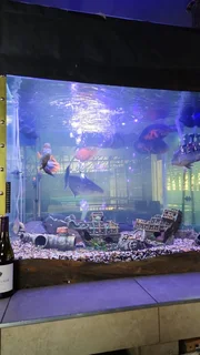 AQUARIUM PH4H MOVERS SA☆☆☆☆☆