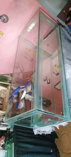 AQUARIUM PH4H MOVERS SA☆☆☆☆☆