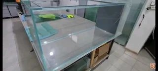 AQUARIUM PH4H MOVERS SA☆☆☆☆☆