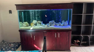 AQUARIUM PH4H MOVERS SA☆☆☆☆☆