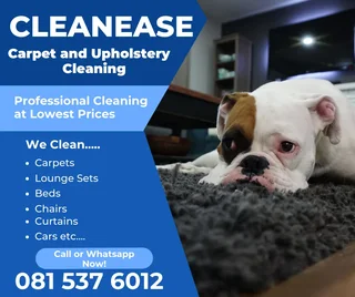 CleanEase GP | Professional Carpet, Upholstery & Car Interior Cleaning | Centurion & Midrand