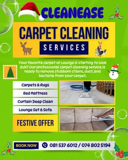 CleanEase Steam Cleaning of Carpets, Car, Beds & Lounge Set Cleaning Special at Lowest Prices.