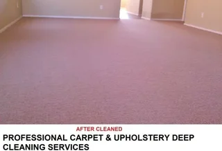 CleanEase Steam Cleaning of Carpets, Car, Beds &amp; Lounge Set Cleaning Special at Lowest Prices.