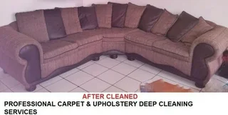 CleanEase Steam Cleaning of Carpets, Car, Beds &amp; Lounge Set Cleaning Special at Lowest Prices.