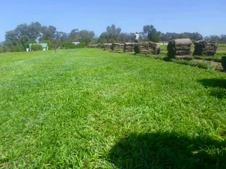 EVERGREEN FARM FRESH GRASS (0658473844)
