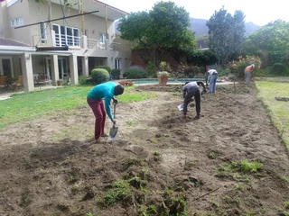 EVERGREEN FARM FRESH GRASS (0658473844)