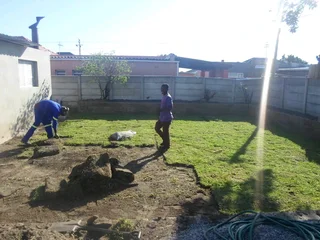 EVERGREEN FARM FRESH GRASS (0658473844)