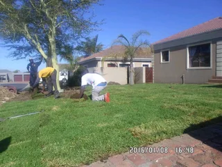 EVERGREEN FARM FRESH GRASS (0658473844)