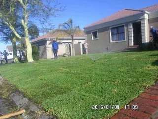 EVERGREEN FARM FRESH GRASS (0658473844)