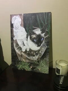 Murals-wall-indoor and ou/Paintings/sketches/glass  and mirror art/framing