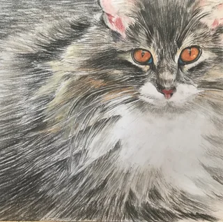 Murals-wall-indoor and ou/Paintings/sketches/glass  and mirror art/framing