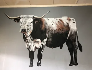 Murals- painted indoors and outdoors