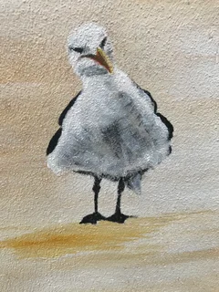 Murals- painted indoors and outdoors