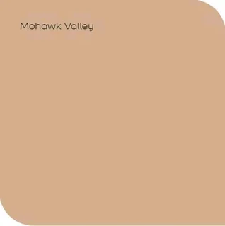 Dulux Weatherguard Fine Textured Paint - Mohawk Valley Colour