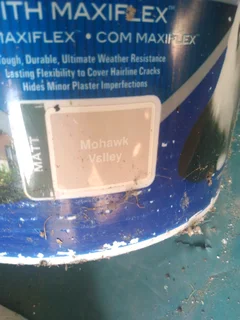 Dulux Weatherguard Fine Textured Paint - Mohawk Valley Colour