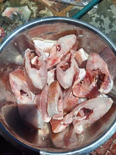 Fish  Fresh Mackerel R10 Each