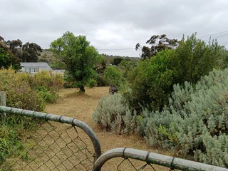 Vacant Plot for Sale in Napier