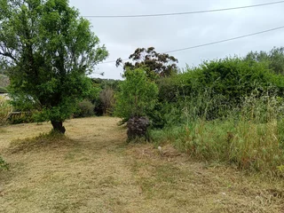 Vacant Plot for Sale in Napier