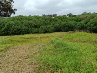 Vacant Plot for Sale in Napier