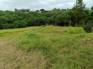 Vacant Plot for Sale in Napier