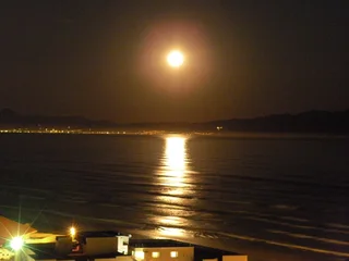 Spacious Room to Rent (Mountain View) in Penthouse-Style Apartment — Available 1 Jan 2026