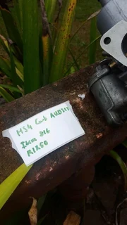 Hs4 carb aud317 for mini