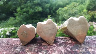 Heart feet miniature owls.