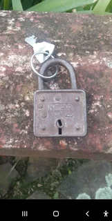 Tiger lock with key