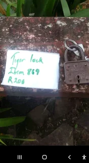 Tiger lock with key