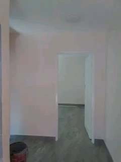 SMART ACCURATE PAINTER