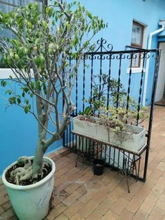 Student Accommodation Observatory &amp; Rondebosch