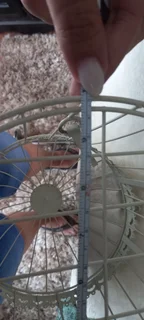 Cream Bird Cage Decor