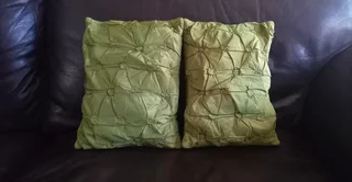 Taffeta Scatter Cushions from Woolworths
