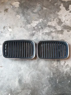 Bmw E36 Dolphin Shape Grill