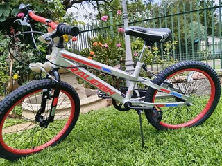 Raleigh 20&#34; Enduro boys mountain bicycle