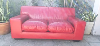 CORICRAFT 2 seater Leather Couch Kariba in Oxblood merlot Red Colour Genuine Leather 180cm