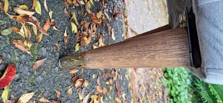 Eva 70cm Classic Velvet Material Modern Styled Wingback 1 seater Chair Steel Grey colour