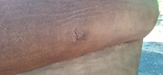 Two Large 1 Seater KUDU Leather Arm Chairs Sabi Kamili Range Couches 123cm R5500 each