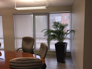 Office Blinds