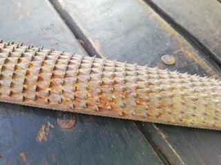 Vintage Wood Rasp (Price Includes Postage)