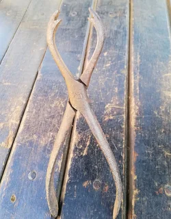 Antique Surgical Pliers Instrument (Price Includes Postage)