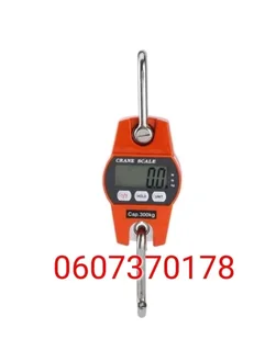 Mini Crane Scale with LCD Digital Display Screen 300kg (Brand New)