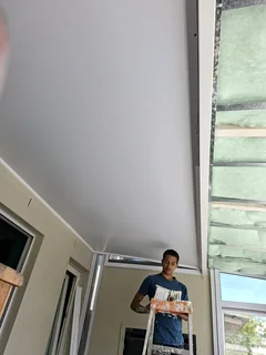 Ceiling services