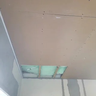 Ceiling services