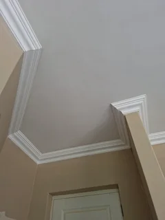 Ceiling services