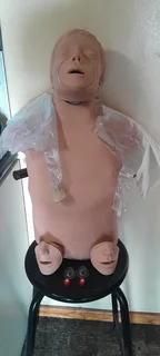 Cpr - Brad Adult CPR Manikin- R3000
